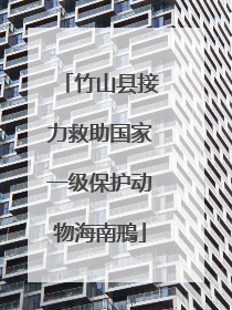 竹山县接力救助国家一级保护动物海南鳽