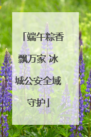 端午粽香飘万家 冰城公安全域守护