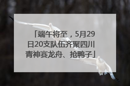 端午将至，5月29日20支队伍齐聚四川青神赛龙舟、抢鸭子