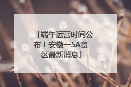 端午运营时间公布！安徽一5A景区最新消息