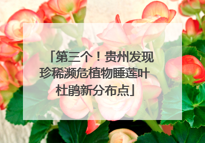 第三个！贵州发现珍稀濒危植物睡莲叶杜鹃新分布点