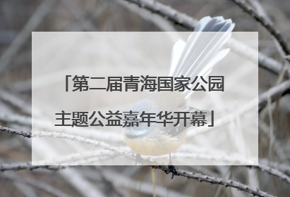 第二届青海国家公园主题公益嘉年华开幕