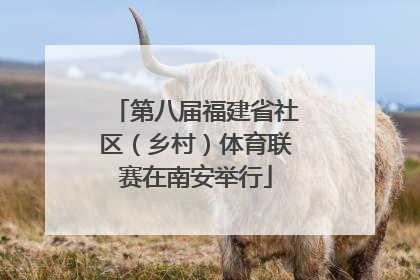 第八届福建省社区（乡村）体育联赛在南安举行