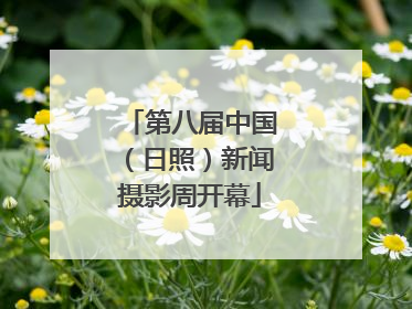 第八届中国（日照）新闻摄影周开幕