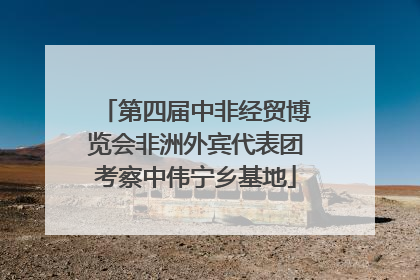 第四届中非经贸博览会非洲外宾代表团考察中伟宁乡基地