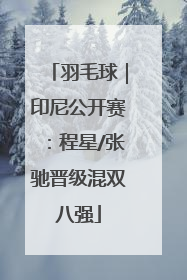 羽毛球｜印尼公开赛：程星/张驰晋级混双八强