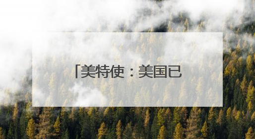 美特使：美国已开始减少在叙利亚的军事存在
