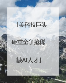 美科技巨头砸重金争抢稀缺AI人才