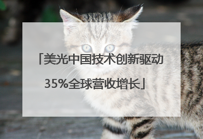 美光中国技术创新驱动35%全球营收增长