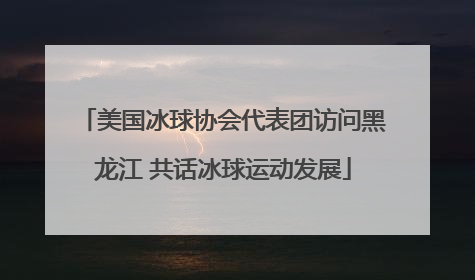 美国冰球协会代表团访问黑龙江 共话冰球运动发展