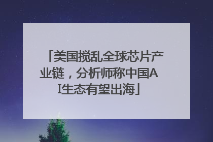 美国搅乱全球芯片产业链，分析师称中国AI生态有望出海