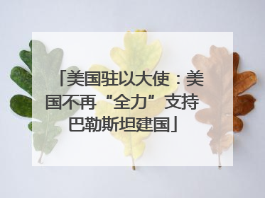 美国驻以大使：美国不再“全力”支持巴勒斯坦建国