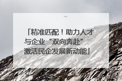 精准匹配！助力人才与企业“双向奔赴” 激活民企发展新动能