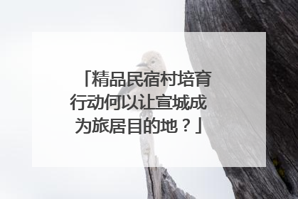 精品民宿村培育行动何以让宣城成为旅居目的地？