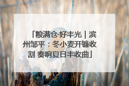 粮满仓·好丰光｜滨州邹平：冬小麦开镰收割 奏响夏日丰收曲
