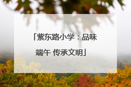 紫东路小学：品味端午 传承文明