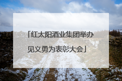 红太阳酒业集团举办见义勇为表彰大会