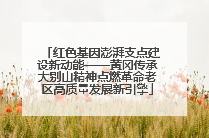 红色基因澎湃支点建设新动能——黄冈传承大别山精神点燃革命老区高质量发展新引擎