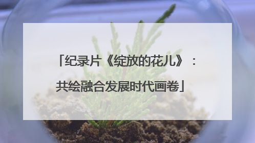 纪录片《绽放的花儿》：共绘融合发展时代画卷