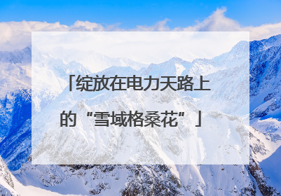 绽放在电力天路上的“雪域格桑花”
