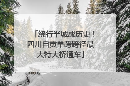 绕行半城成历史！四川自贡单跨跨径最大特大桥通车