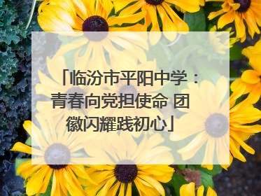 临汾市平阳中学：青春向党担使命 团徽闪耀践初心
