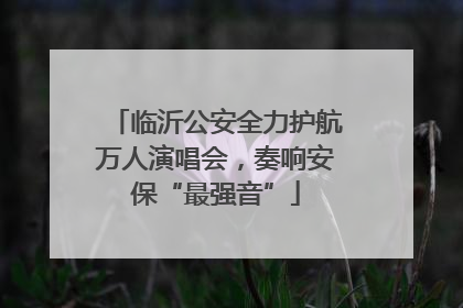 临沂公安全力护航万人演唱会，奏响安保“最强音”