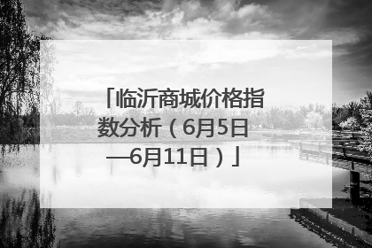临沂商城价格指数分析（6月5日—6月11日）