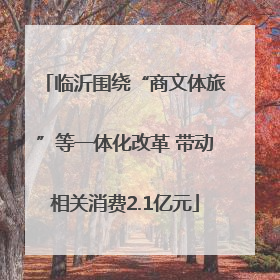 临沂围绕“商文体旅”等一体化改革 带动相关消费2.1亿元
