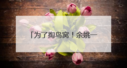 为了掏鸟窝！余姚一男子被卡在10余米高的高压电线杆上