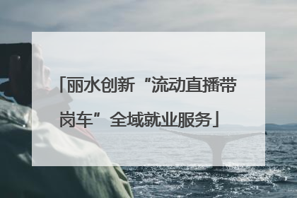 丽水创新“流动直播带岗车”全域就业服务