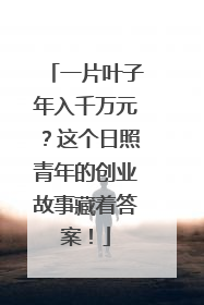 一片叶子年入千万元？这个日照青年的创业故事藏着答案！