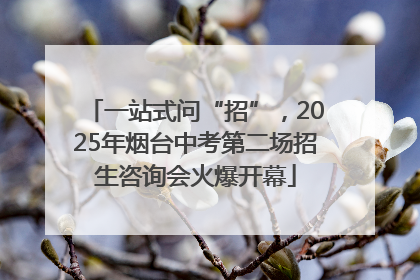 一站式问“招”，2025年烟台中考第二场招生咨询会火爆开幕