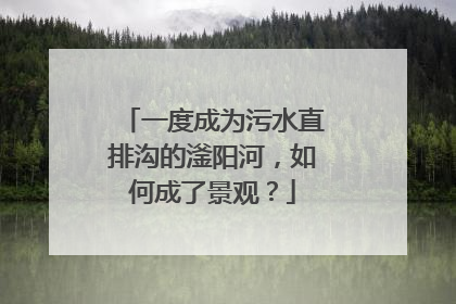 一度成为污水直排沟的滏阳河，如何成了景观？