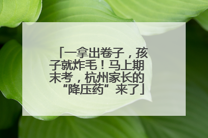 一拿出卷子，孩子就炸毛！马上期末考，杭州家长的“降压药”来了