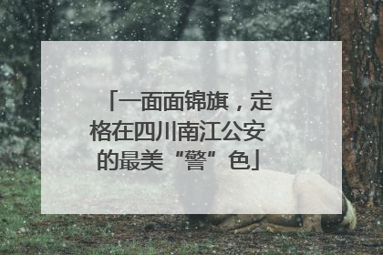 一面面锦旗，定格在四川南江公安的最美“警”色