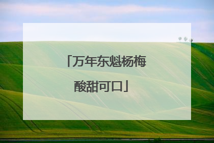 万年东魁杨梅 酸甜可口