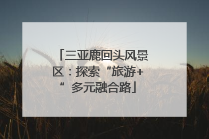 三亚鹿回头风景区：探索“旅游+”多元融合路