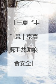 三夏“丰”景｜京冀携手共助粮食安全