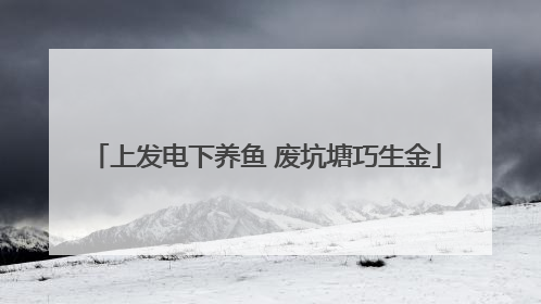 上发电下养鱼 废坑塘巧生金