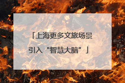 上海更多文旅场景引入“智慧大脑”