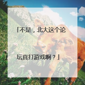不是，北大这个论坛真打游戏啊？