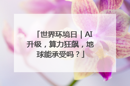 世界环境日｜AI升级，算力狂飙，地球能承受吗？