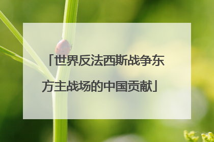 世界反法西斯战争东方主战场的中国贡献