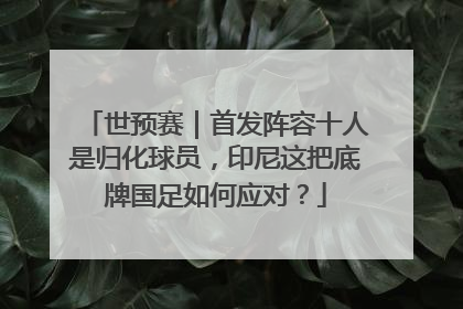 世预赛｜首发阵容十人是归化球员，印尼这把底牌国足如何应对？