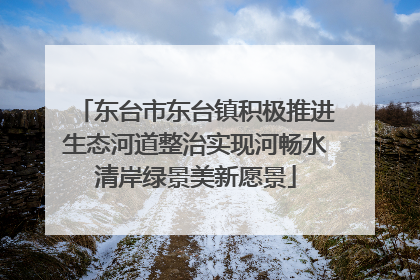 东台市东台镇积极推进生态河道整治实现河畅水清岸绿景美新愿景