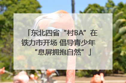 东北四省“村BA”在铁力市开场 倡导青少年“息屏拥抱自然”