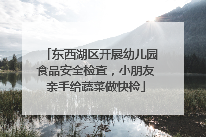 东西湖区开展幼儿园食品安全检查，小朋友亲手给蔬菜做快检