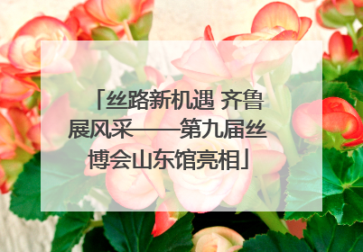 丝路新机遇 齐鲁展风采——第九届丝博会山东馆亮相