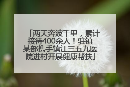 两天奔波千里，累计接待400余人！驻镇某部携手镇江三五九医院进村开展健康帮扶